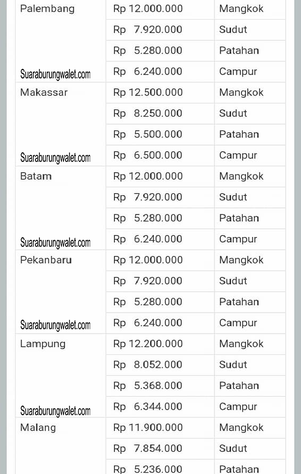 harga sarang walet tahun 2017